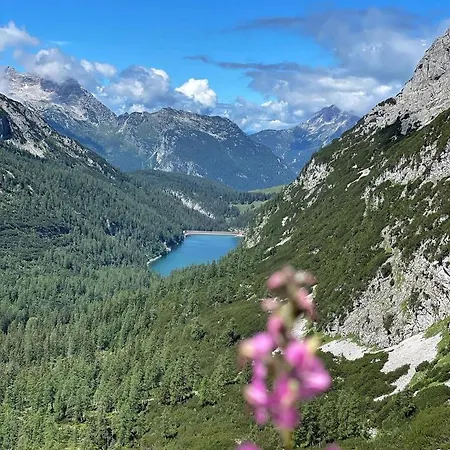 Erlhof Πανσιόν Saalfelden