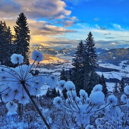 Πανσιόν Erlhof 4*