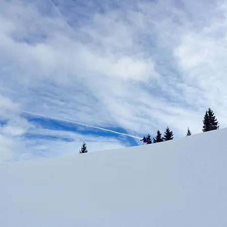 Erlhof 4* Saalfelden