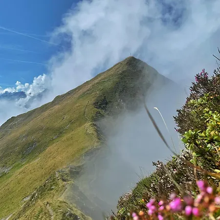 Erlhof Πανσιόν