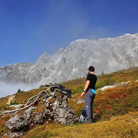 Erlhof Πανσιόν Saalfelden