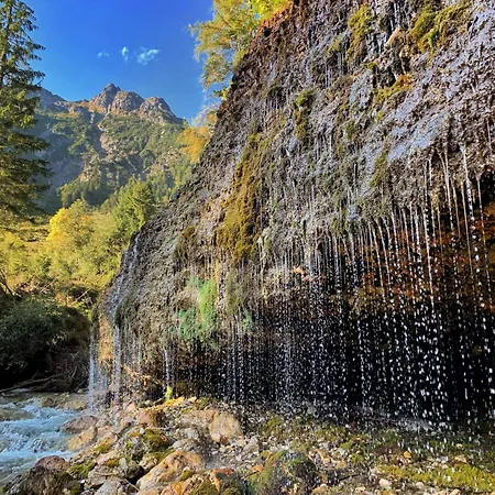 Πανσιόν Erlhof Saalfelden
