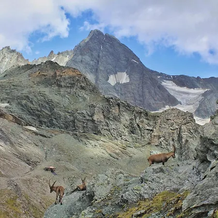 Πανσιόν Erlhof